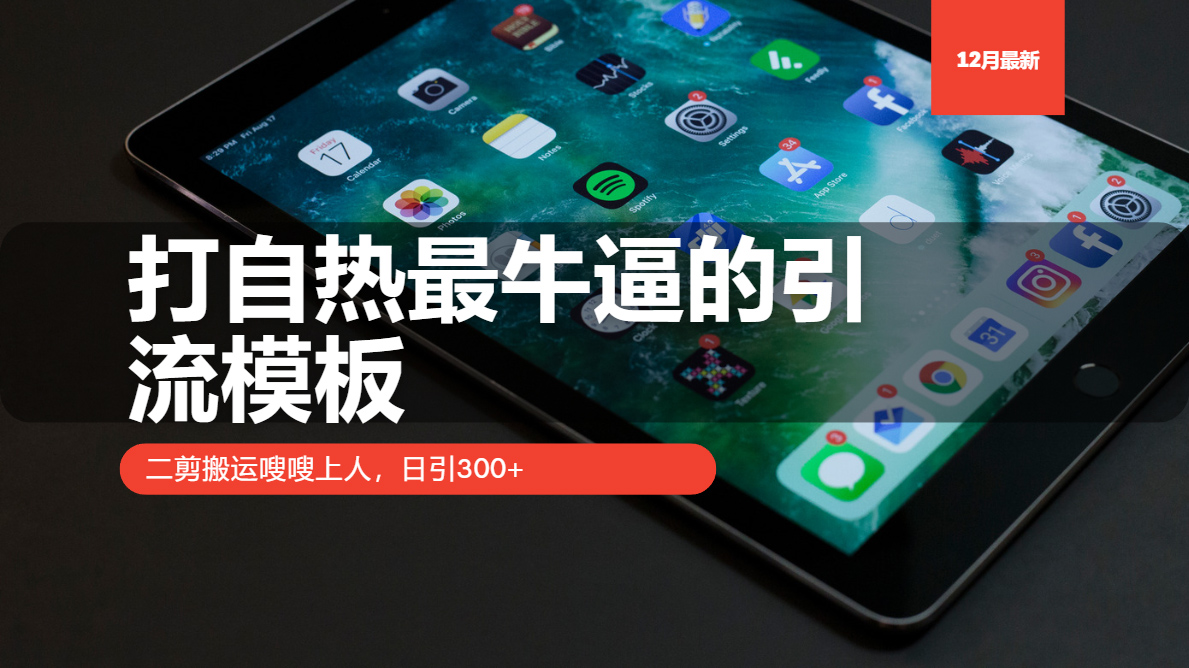 （13654期）打自热最牛逼的引流模板，二剪搬运嗖嗖上人，日引300+-中创网_分享中创网创业资讯_最新网络项目资源-网创e学堂