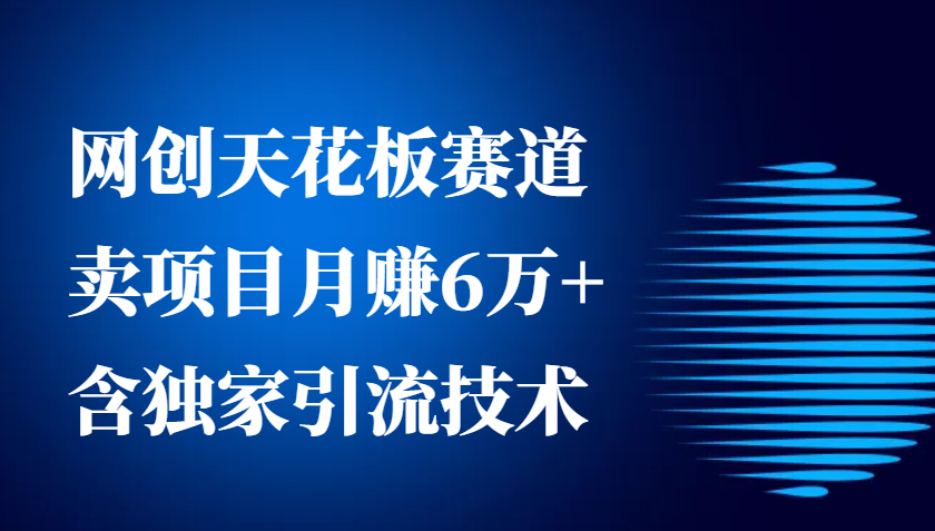 网创天花板赛道，卖项目月赚6万+，含独家引流技术（共26节课）-中创网_分享中创网创业资讯_最新网络项目资源-网创e学堂