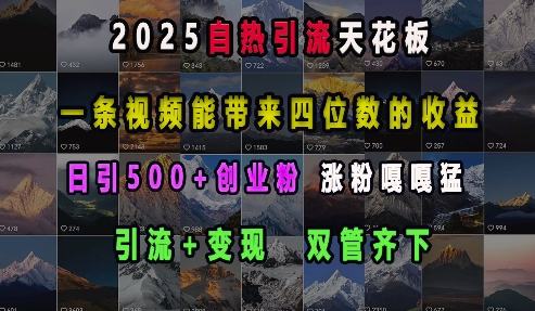 2025自热引流天花板，一条视频能带来四位数的收益，引流+变现双管齐下，日引500+创业粉，涨粉嘎嘎猛-中创网_分享中创网创业资讯_最新网络项目资源-网创e学堂