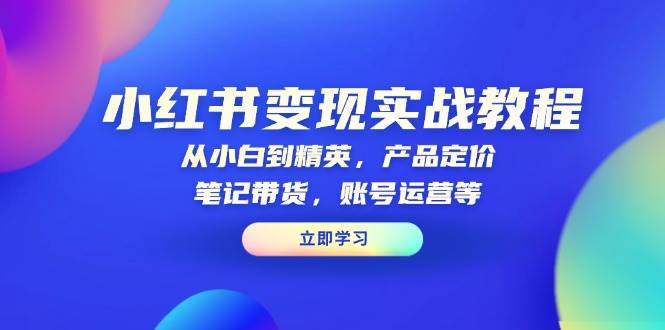 小红书变现实战教程：从小白到精英，产品定价，笔记带货，账号运营等-中创网_分享中创网创业资讯_最新网络项目资源-网创e学堂