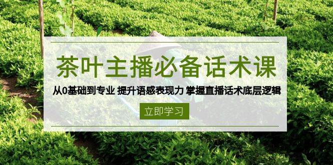 茶叶主播必备话术课 从0基础到专业 提升语感表现力 掌握直播话术底层逻辑-中创网_分享中创网创业资讯_最新网络项目资源-网创e学堂