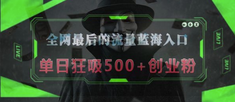 全网最后的流量蓝海入口，半小时引流50+创业粉，单日狂吸500+创业粉-中创网_分享中创网创业资讯_最新网络项目资源-网创e学堂