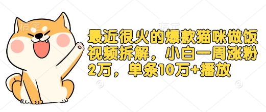 最近很火的爆款猫咪做饭视频拆解，小白一周涨粉2万，单条10万+播放(附保姆级教程)-中创网_分享中创网创业资讯_最新网络项目资源-网创e学堂