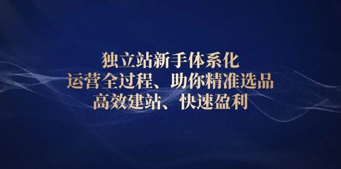 独立站新手体系化 运营全过程，助你精准选品、高效建站、快速盈利-中创网_分享中创网创业资讯_最新网络项目资源-网创e学堂