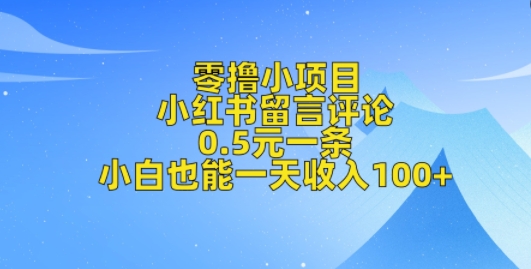 零撸小项目，小红书留言评论，0.5元一条，小白也能一天收入100+-中创网_分享中创网创业资讯_最新网络项目资源-网创e学堂