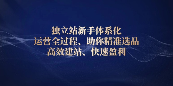 （13914期）独立站新手体系化 运营全过程，助你精准选品、高效建站、快速盈利-中创网_分享中创网创业资讯_最新网络项目资源-网创e学堂