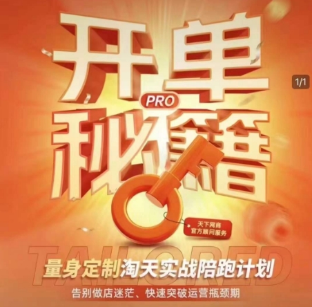 淘宝开单秘籍PRO，量身定制淘天实战陪跑计划，告别做店迷茫、快速突破运营瓶颈期-中创网_分享中创网创业资讯_最新网络项目资源-网创e学堂