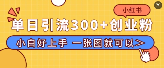 小红书单日引流300+创业粉，“简单粗暴”引流法，小白好上手，私信回不完-中创网_分享中创网创业资讯_最新网络项目资源-网创e学堂