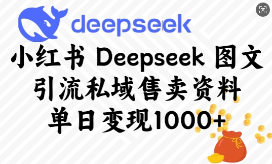 小红书Deepseek图文引流私域售卖资料，单日变现多张-中创网_分享中创网创业资讯_最新网络项目资源-网创e学堂