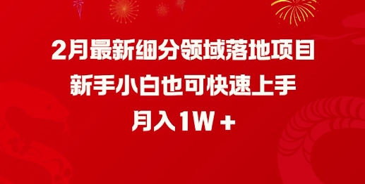 2月最新细分领域落地项目，新手小白也可快速上手，月入1W-中创网_分享中创网创业资讯_最新网络项目资源-网创e学堂