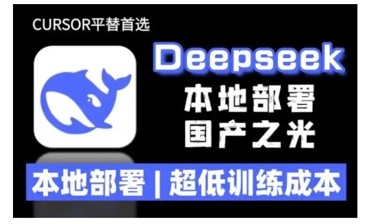 2025年deepseek R1 大型模型本地安装部署(文件+教程)本地部署，超低训练成本-中创网_分享中创网创业资讯_最新网络项目资源-网创e学堂