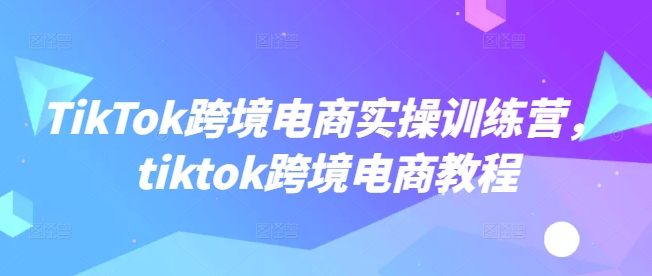 TikTok跨境电商实操训练营，tiktok跨境电商教程-中创网_分享中创网创业资讯_最新网络项目资源-网创e学堂