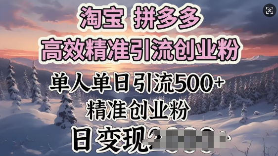 淘宝拼多多高效精准引流创业粉，单人单日引流500+创业粉，日变现多张-中创网_分享中创网创业资讯_最新网络项目资源-网创e学堂