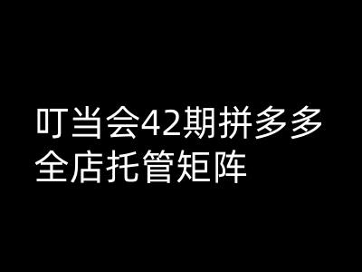 叮当会拼多多打爆班原创高阶技术第42期，拼多多全店托管矩阵-中创网_分享中创网创业资讯_最新网络项目资源-网创e学堂