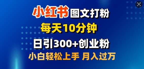 2月小红书图文打粉，每天10分钟，日引300+创业粉，小白轻松月入过W-中创网_分享中创网创业资讯_最新网络项目资源-网创e学堂