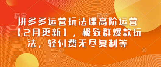 拼多多运营玩法课高阶运营【2月更新】，极致群爆款玩法，轻付费无尽复制等-中创网_分享中创网创业资讯_最新网络项目资源-网创e学堂