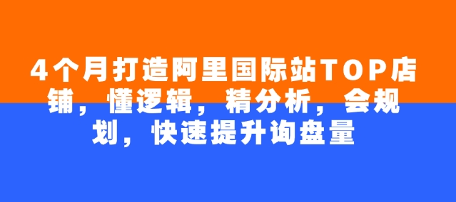 4个月打造阿里国际站TOP店铺，懂逻辑，精分析，会规划，快速提升询盘量-中创网_分享中创网创业资讯_最新网络项目资源-网创e学堂