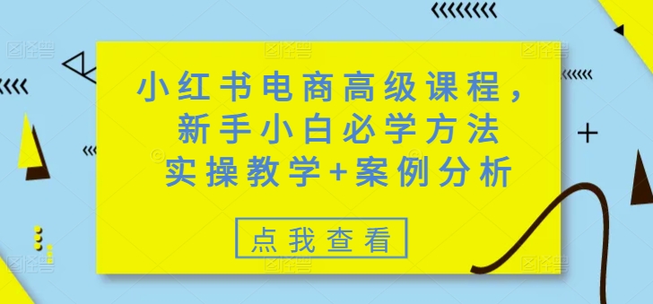 小红书电商高级课程，新手小白必学方法，实操教学+案例分析-中创网_分享中创网创业资讯_最新网络项目资源-网创e学堂