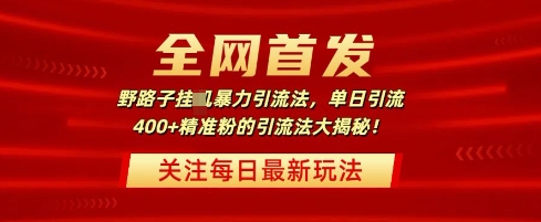 全网首发，野路子暴力引流法，单日引流400+精准粉的引流法大揭秘-中创网_分享中创网创业资讯_最新网络项目资源-网创e学堂