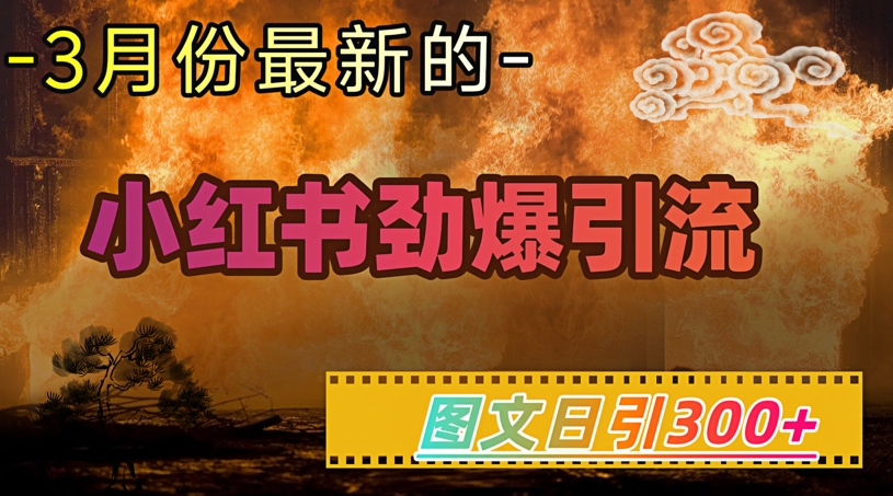 小红书超劲爆引流手段，图文日引300+轻松变现1W-中创网_分享中创网创业资讯_最新网络项目资源-网创e学堂