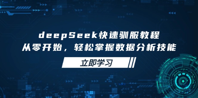 （14536期）deepSeek快速驯服教程，从零开始，轻松掌握数据分析技能-中创网_分享中创网创业资讯_最新网络项目资源-网创e学堂