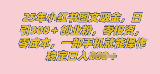 2025年小红书创业粉图文自热教程，日+300创业粉，单日变现多张，无脑操作，宝妈，小白抓紧冲-中创网_分享中创网创业资讯_最新网络项目资源-网创e学堂