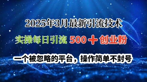 2025年3月最新引流技术，实操每日引流500+创业粉，一个被忽略的平台，操作简单不封号-中创网_分享中创网创业资讯_最新网络项目资源-网创e学堂