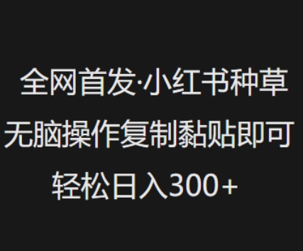 全网首发，小红书种草无脑操作，复制黏贴即可，轻松日入3张-中创网_分享中创网创业资讯_最新网络项目资源-网创e学堂