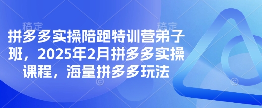 拼多多实操陪跑特训营弟子班，2025年2月拼多多实操课程，海量拼多多玩法-中创网_分享中创网创业资讯_最新网络项目资源-网创e学堂